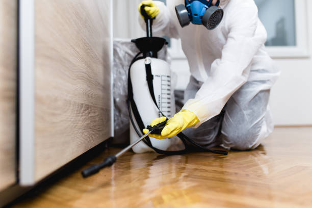 Pest Control Cost in Bergenfield, NJ