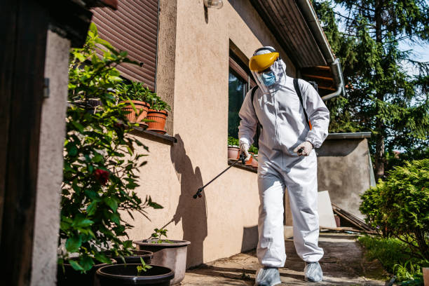 Best Affordable Pest Control Services  in Bergenfield, NJ