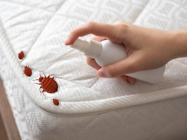 Best Residential Pest Control  in Bergenfield, NJ