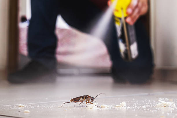 Best Affordable Pest Control Services  in Bergenfield, NJ